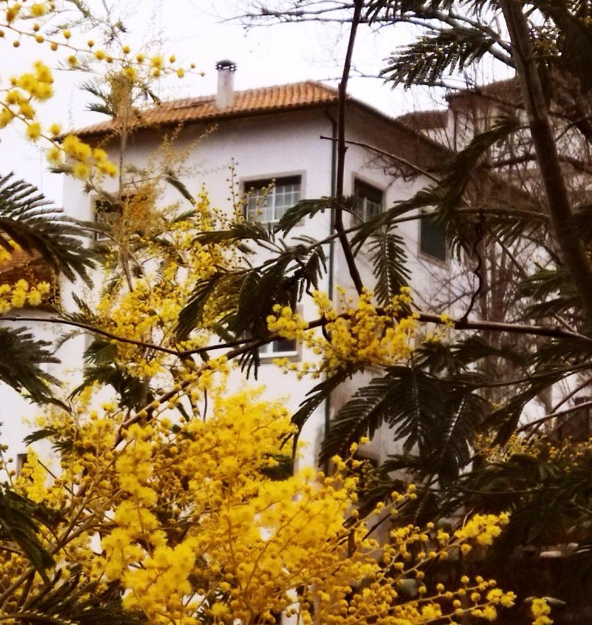 Casa Do Rio Hotel Termas de Sao Pedro do Sul Ngoại thất bức ảnh